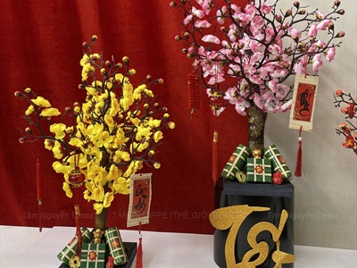 Cây Mai Đào thân gỗ để bàn [Tỉ mỉ - Nhẹ] C50cm CAYCANH-TET-01